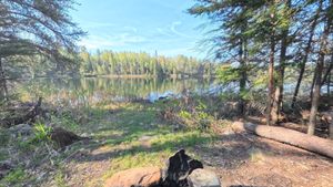 Campsite 1180