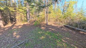 Campsite 1180