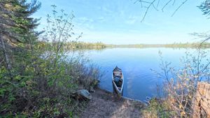 Campsite 1181