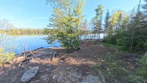 Campsite 1181