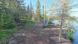 Campsite 1181