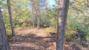 Campsite 1181