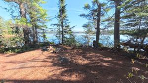 Campsite 1178
