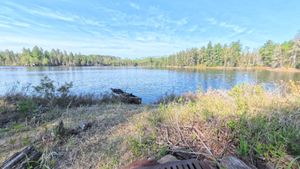 Campsite 1390