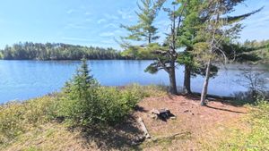 Campsite 1389