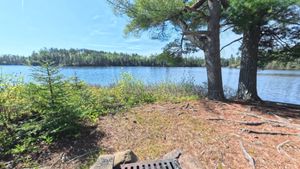 Campsite 1389