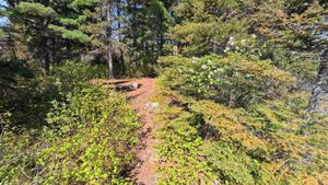 Campsite 1388