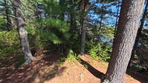 Campsite 1388