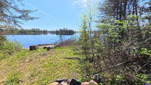 Campsite 1392