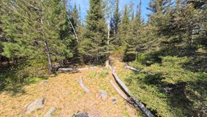 Campsite 1393