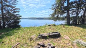 Campsite 1393