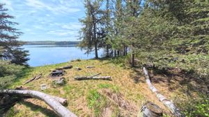 Campsite 1393