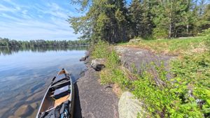 Campsite 1393