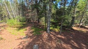 Campsite 1182