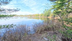 Campsite 1182