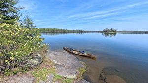 Campsite 1184