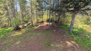 Campsite 1394