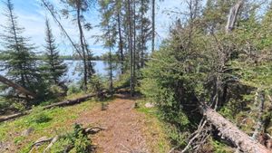 Campsite 1394