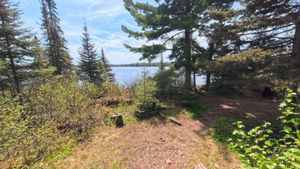 Campsite 1394