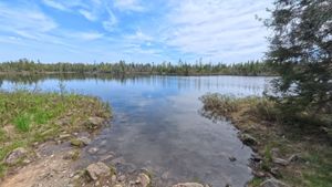 Portage 503