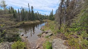 Portage 503