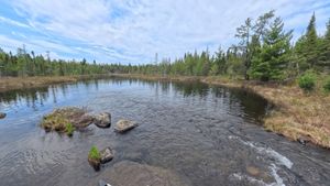 Portage 500
