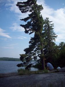 Nina-Moose Lake camp