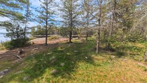 Campsite 1191