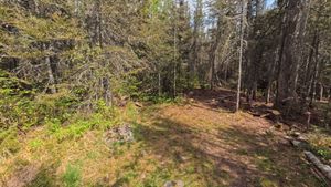Campsite 1191
