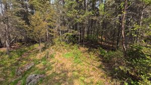 Campsite 1191