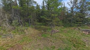Campsite 1191