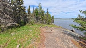 Campsite 1193