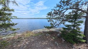 Campsite 1193