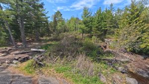 Campsite 1194