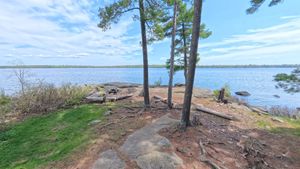 Campsite 1194