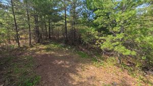 Campsite 1194