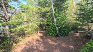 Campsite 2207
