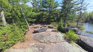 Campsite 2207