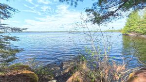 Campsite 2207