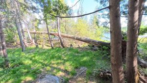 Campsite 1196