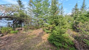 Campsite 1199