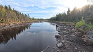 Blown Out Beaver Dam