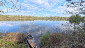 Campsite 2227