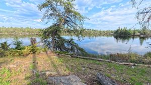 Campsite 2227