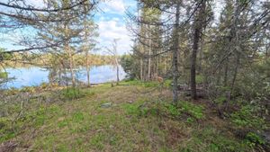 Campsite 2227