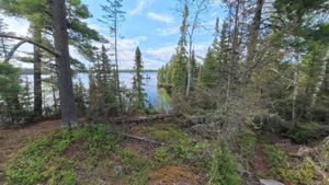 Campsite 1387