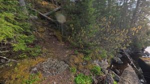 Campsite 1387