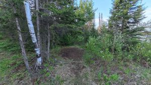 Campsite 1198