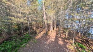 Campsite 1211