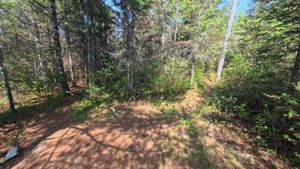 Campsite 1210